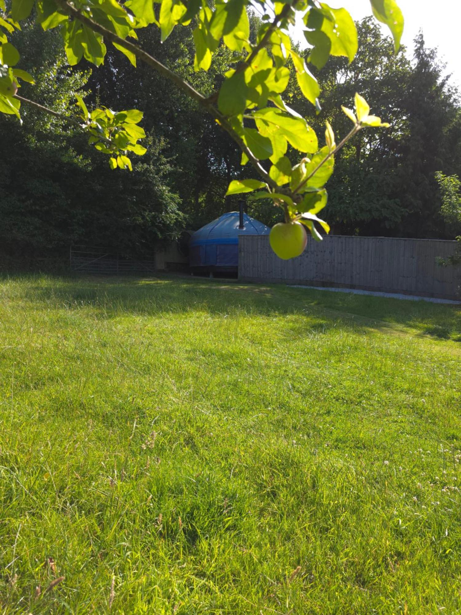 Orchard View Yurt & Hot Tub Somerset Weston-super-Mare Exterior foto